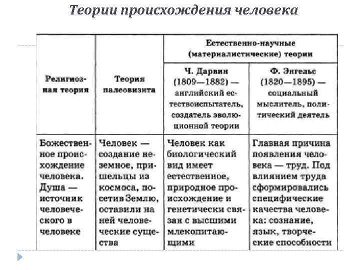 Теории происхождения человека 