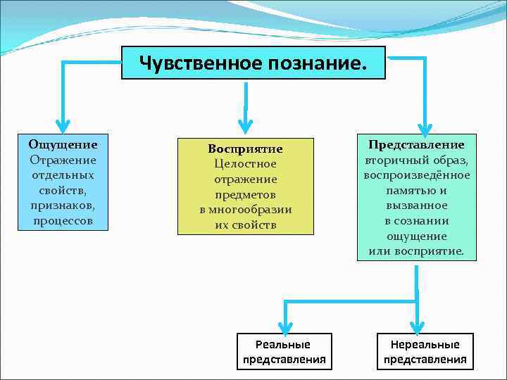 Чувственное познание. Ощущение Отражение отдельных свойств, признаков, процессов Восприятие Целостное отражение предметов в многообразии