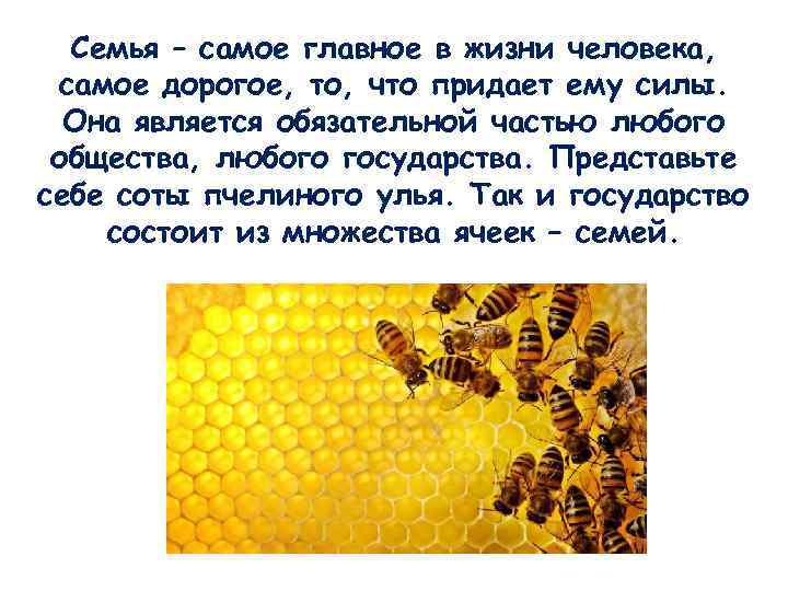 Семья – самое главное в жизни человека, самое дорогое, то, что придает ему силы.