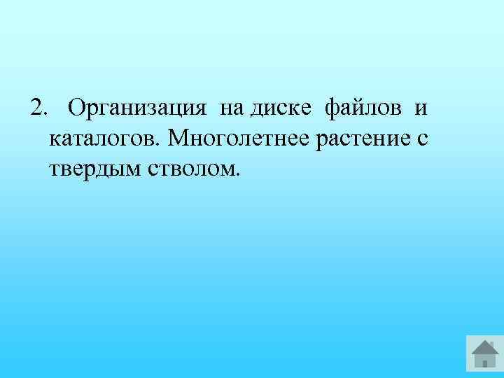 2. Организация на диске файлов и каталогов. Многолетнее растение с твердым стволом. 