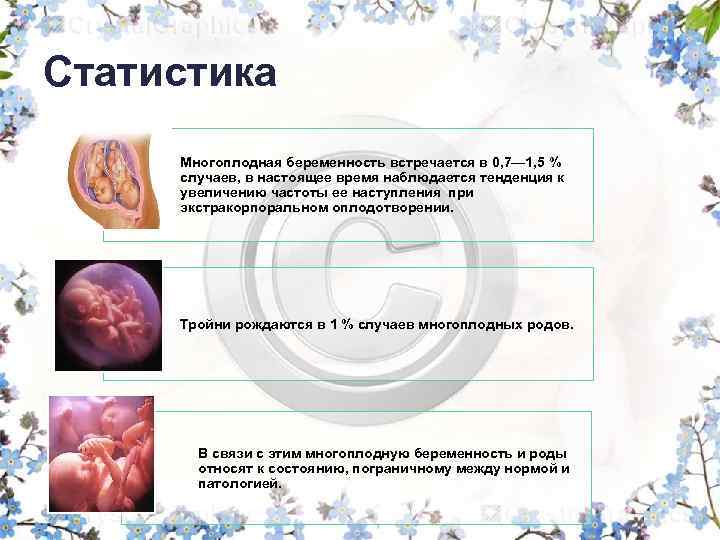 Статистика Многоплодная беременность встречается в 0, 7— 1, 5 % случаев, в настоящее время