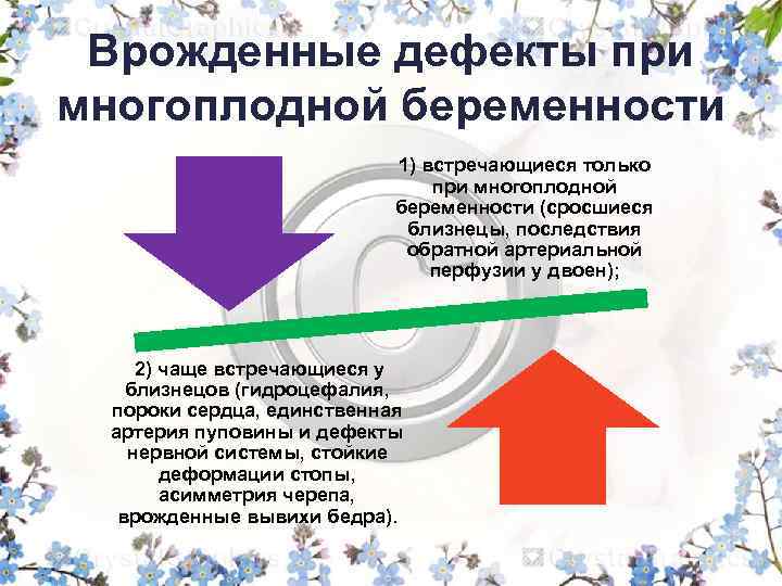 Врожденные дефекты при многоплодной беременности 1) встречающиеся только при многоплодной беременности (сросшиеся близнецы, последствия