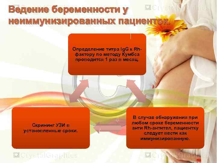 Ведение беременности у неиммунизированных пациенток. Определение титра Ig. G к Rhфактору по методу Кумбса
