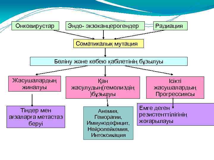 Онковирустар Эндо- экзоканцерогендер Радиация Соматикалық мутация Бөліну және көбею қабілетінің бұзылуы Жасушалардың жиналуы Тіндер