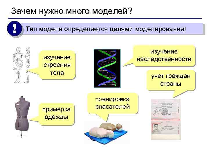 Зачем нужно много моделей? ! Тип модели определяется целями моделирования! изучение наследственности изучение строения