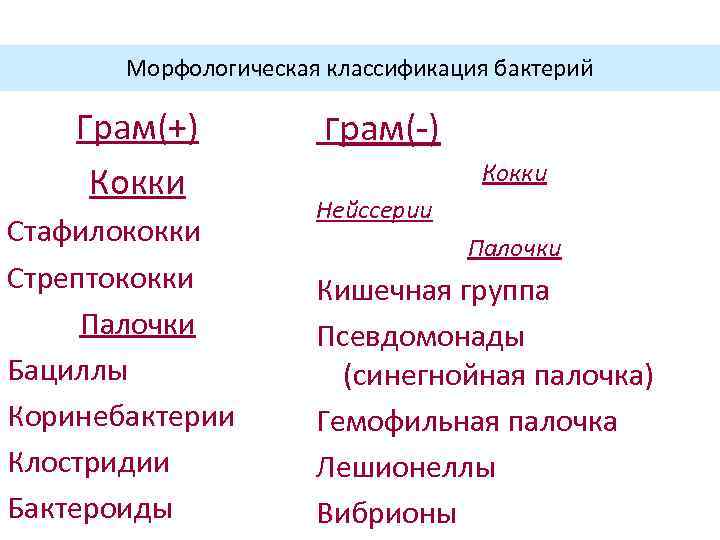 Морфологическая классификация бактерий Грам(+) Кокки Стафилококки Стрептококки Палочки Бациллы Коринебактерии Клостридии Бактероиды Грам(-) Кокки