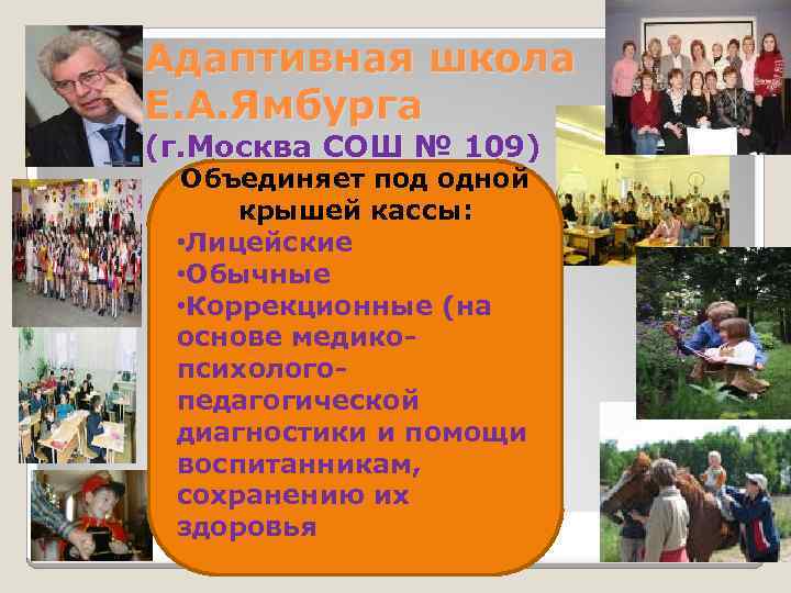 Адаптивная школа Е. А. Ямбурга (г. Москва СОШ № 109) Объединяет под одной крышей