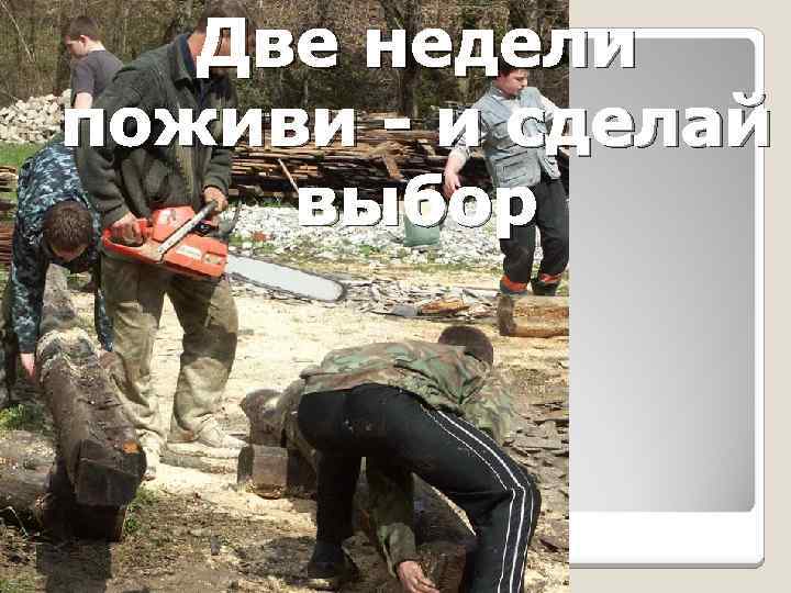 Две недели поживи - и сделай выбор 