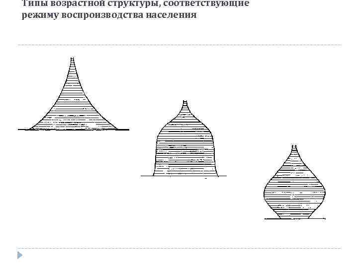 Типы возрастной структуры, соответствующие режиму воспроизводства населения 