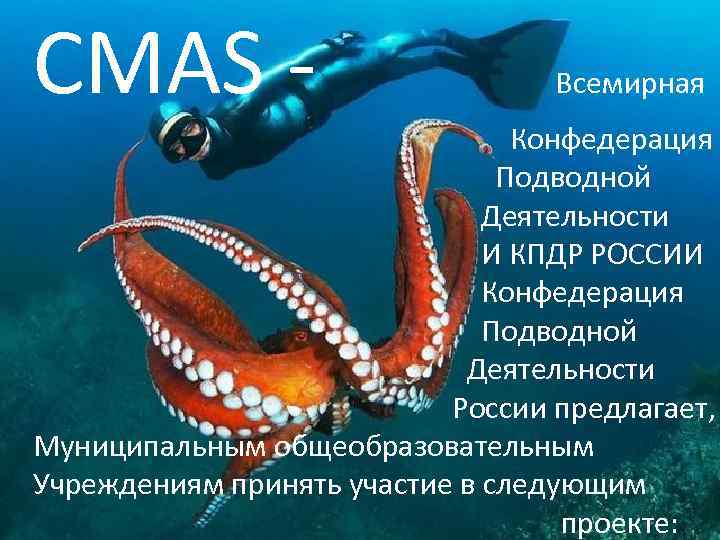 CMAS - Всемирная Конфедерация Подводной Деятельности И КПДР РОССИИ Конфедерация Подводной Деятельности России предлагает,