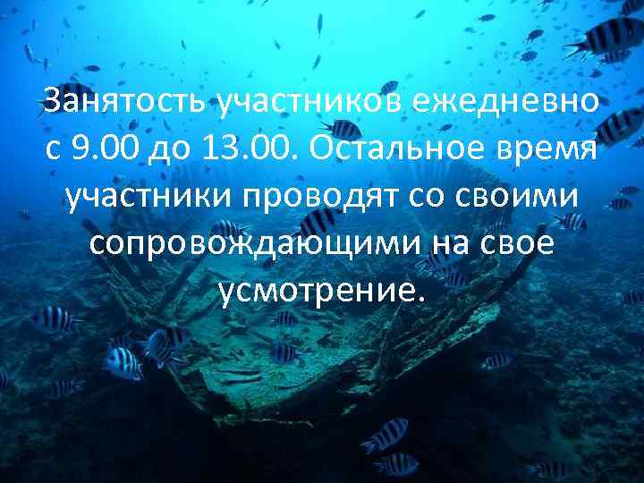 Занятость участников ежедневно с 9. 00 до 13. 00. Остальное время участники проводят со