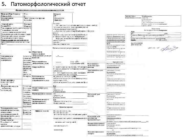 5. Патоморфологический отчет 