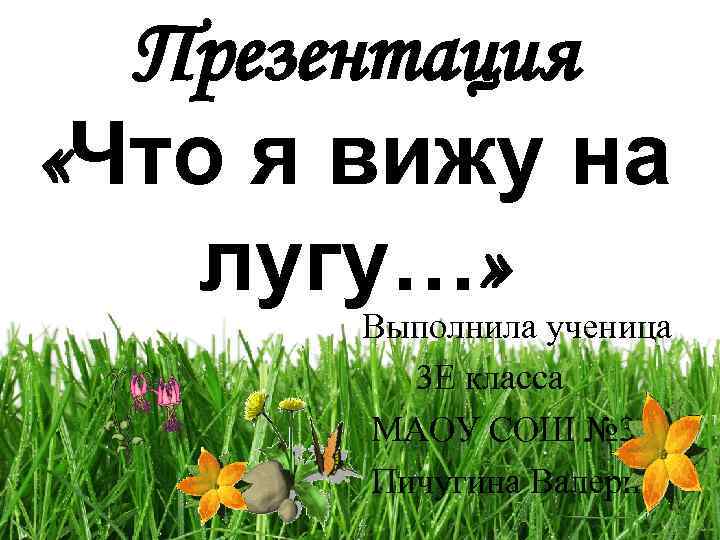 Презентация «Что я вижу на лугу…» Выполнила ученица 3 Е класса МАОУ СОШ №