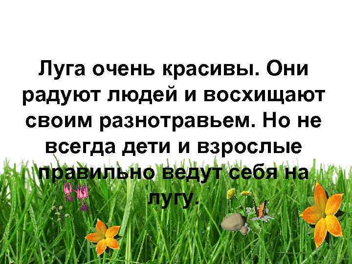 Луга очень красивы. Они радуют людей и восхищают своим разнотравьем. Но не всегда дети