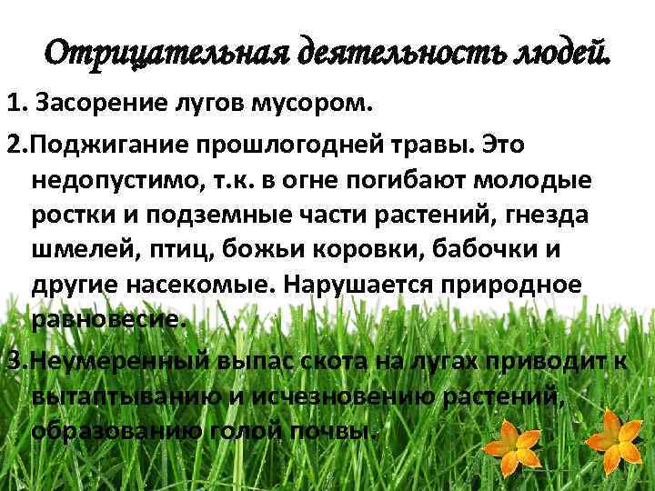 Отрицательная деятельность людей. 1. Засорение лугов мусором. 2. Поджигание прошлогодней травы. Это недопустимо, т.