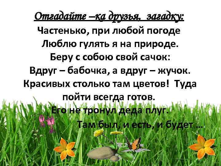 Отгадайте –ка друзья, загадку: Частенько, при любой погоде Люблю гулять я на природе. Беру