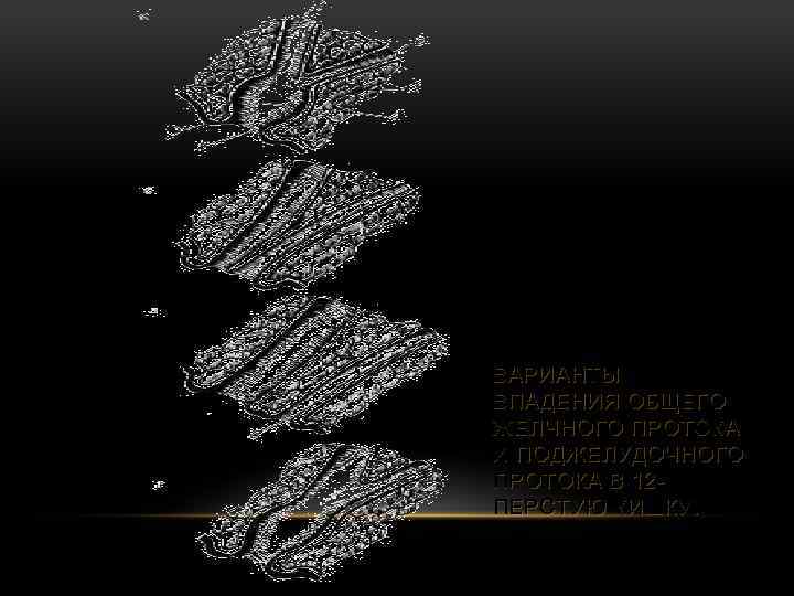 ВАРИАНТЫ ВПАДЕНИЯ ОБЩЕГО ЖЕЛЧНОГО ПРОТОКА И ПОДЖЕЛУДОЧНОГО ПРОТОКА В 12 ПЕРСТУЮ КИШКУ. 