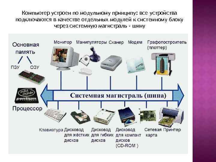 Компьютер устроен по модульному принципу: все устройства подключаются в качестве отдельных модулей к системному