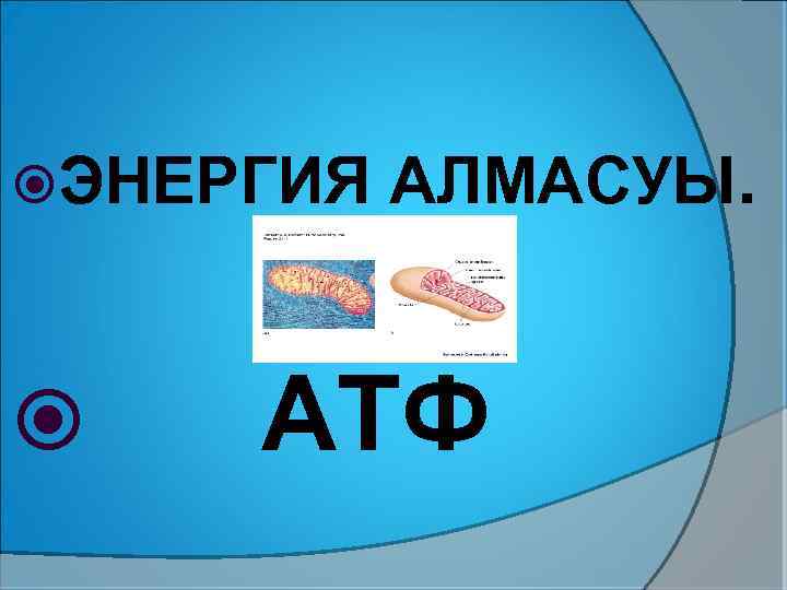  ЭНЕРГИЯ АЛМАСУЫ. ATФ 