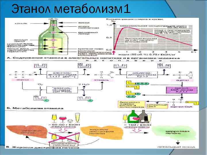 Анализы на обмен веществ