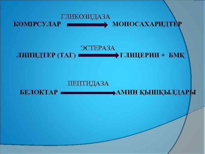 ГЛИКОЗИДАЗА КӨМІРСУЛАР МОНОСАХАРИДТЕР ЛИПИДТЕР (ТАГ) ЭСТЕРАЗА ГЛИЦЕРИН + БМҚ ПЕПТИДАЗА БЕЛОКТАР АМИН ҚЫШҚЫЛДАРЫ 