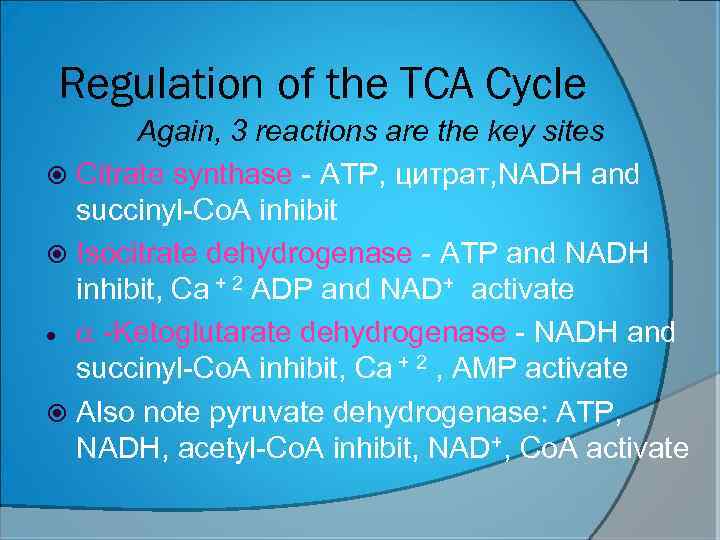 Regulation of the TCA Cycle Again, 3 reactions are the key sites Citrate synthase