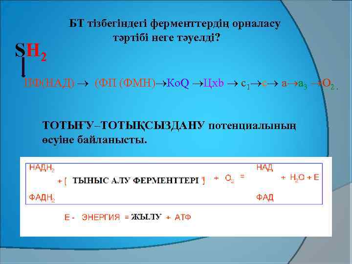 SН 2 БТ тізбегіндегі ферменттердің орналасу тәртібі неге тәуелді? ПФ(НАД) (ФП (ФМН) Ко. Q