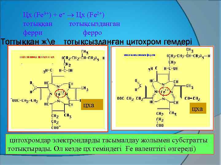 Цх (Fe 3+) + e ־ Цх (Fe 2+) тотыққан тотықсызданган ферри ферро Тоттыққан