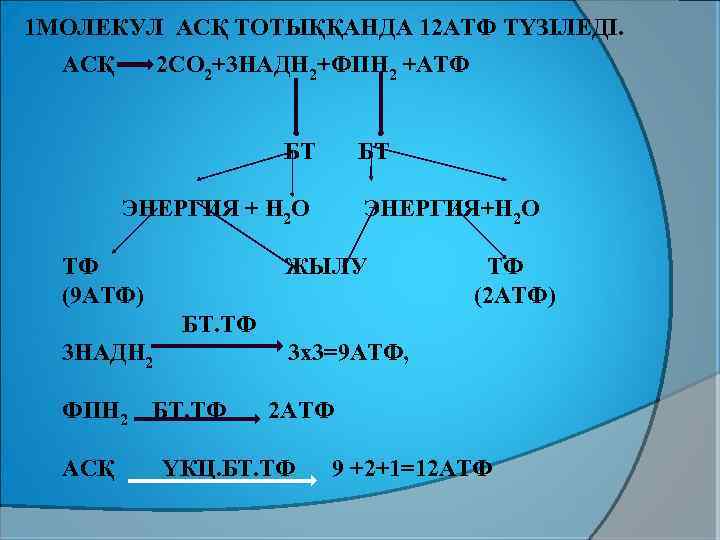 Служат для синтеза молекул атф. Что такое надн2 это АТФ?. Преобразование энергии надн2 фадн2 и др в АТФ.