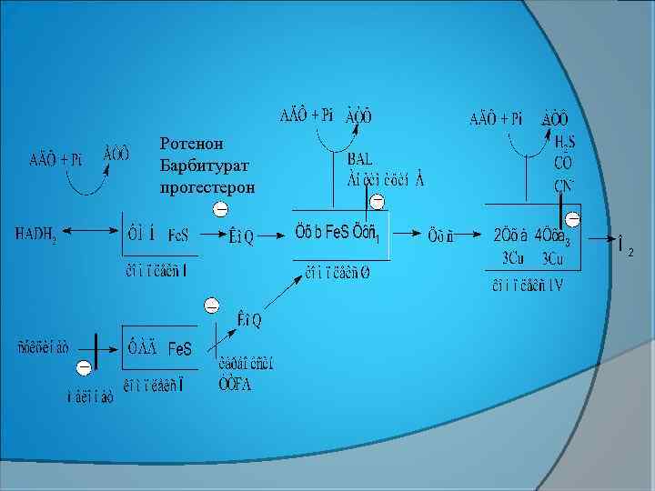 Ротенон Барбитурат прогестерон 
