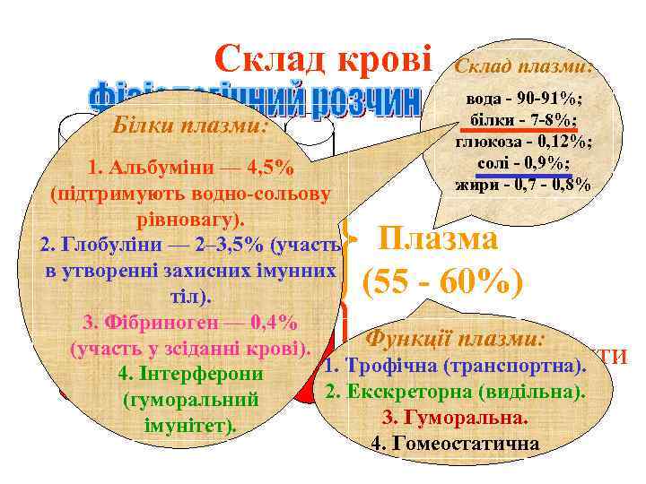 Склад крові Білки плазми: Склад плазми: вода - 90 -91%; білки - 7 -8%;