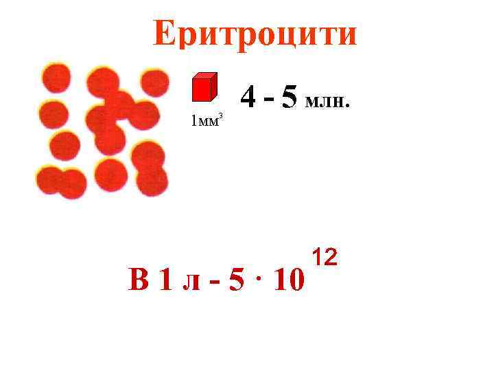 Еритроцити 1 мм 3 4 - 5 млн. В 1 л - 5 ·