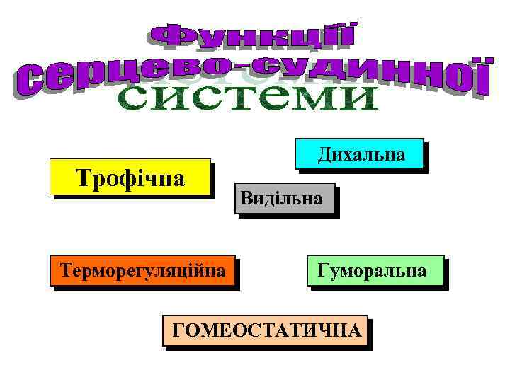 Трофічна Терморегуляційна Дихальна Видільна Гуморальна ГОМЕОСТАТИЧНА 