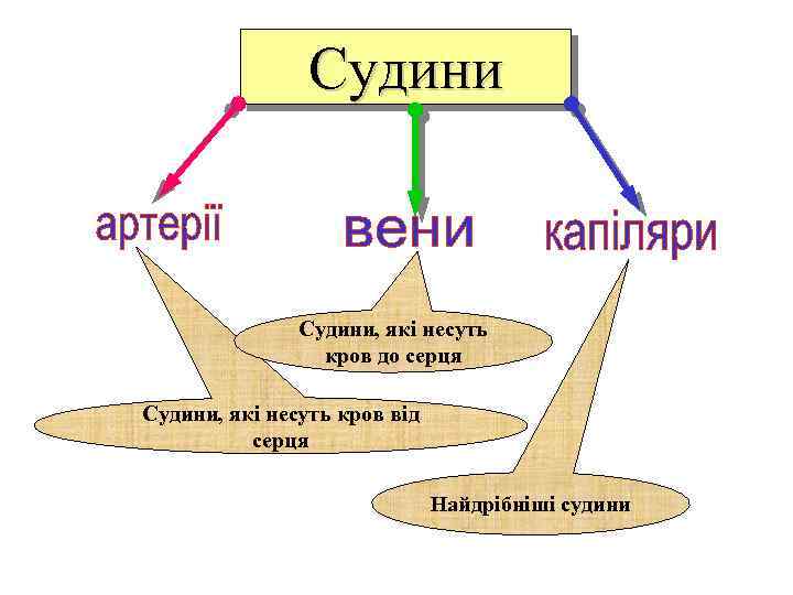 Судини, які несуть кров до серця Судини, які несуть кров від серця Найдрібніші судини