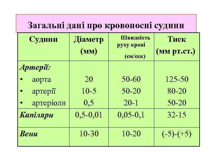 Загальні дані про кровоносні судини Судини Діаметр (мм) Артерії: • аорта 20 • артерії