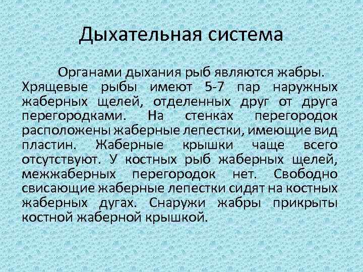 Дыхательная система Органами дыхания рыб являются жабры. Хрящевые рыбы имеют 5 -7 пар наружных