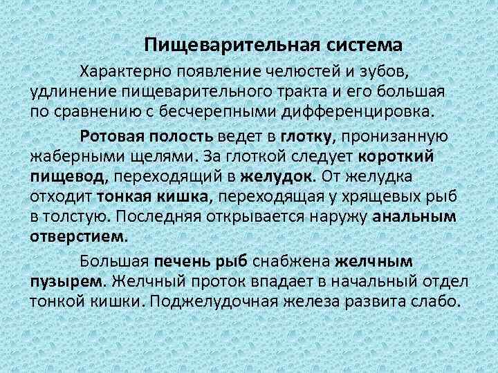 Пищеварительная система Характерно появление челюстей и зубов, удлинение пищеварительного тракта и его большая по