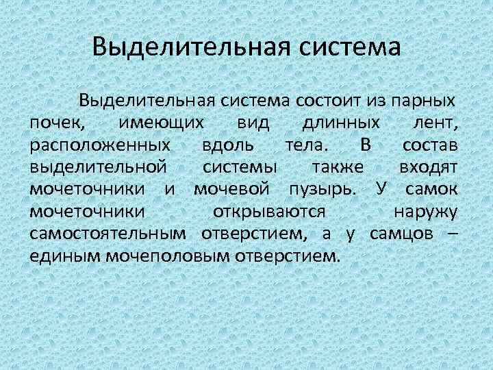 Выделительная система состоит из парных почек, имеющих вид длинных лент, расположенных вдоль тела. В