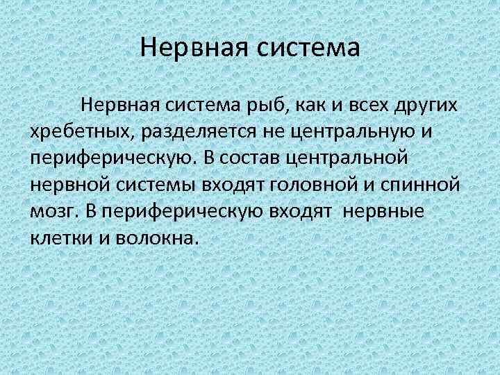 Нервная система рыб, как и всех других хребетных, разделяется не центральную и периферическую. В