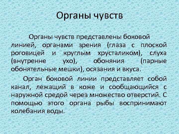 Органы чувств представлены боковой линией, органами зрения (глаза с плоской роговицей и круглым хрусталиком),