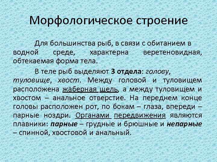 Морфологическое строение Для большинства рыб, в связи с обитанием в водной среде, характерна веретеновидная,