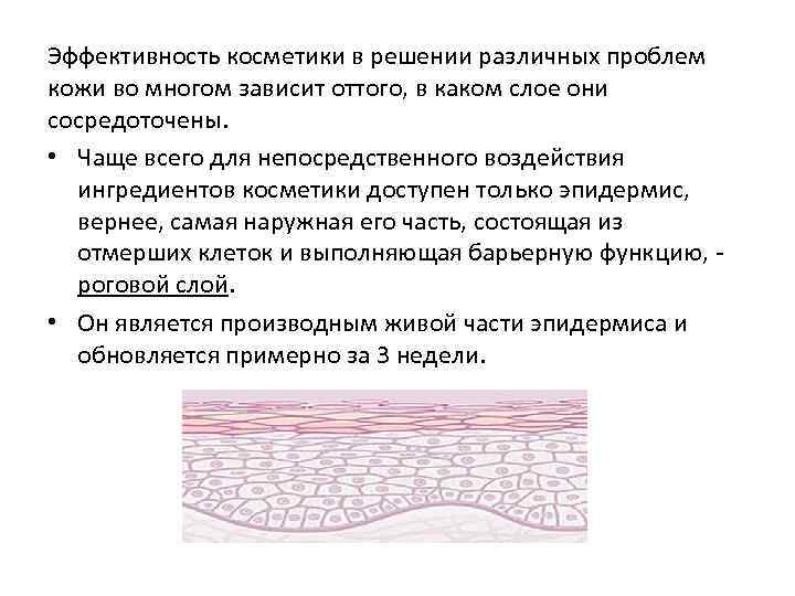 Эффективность косметики в решении различных проблем кожи во многом зависит оттого, в каком слое