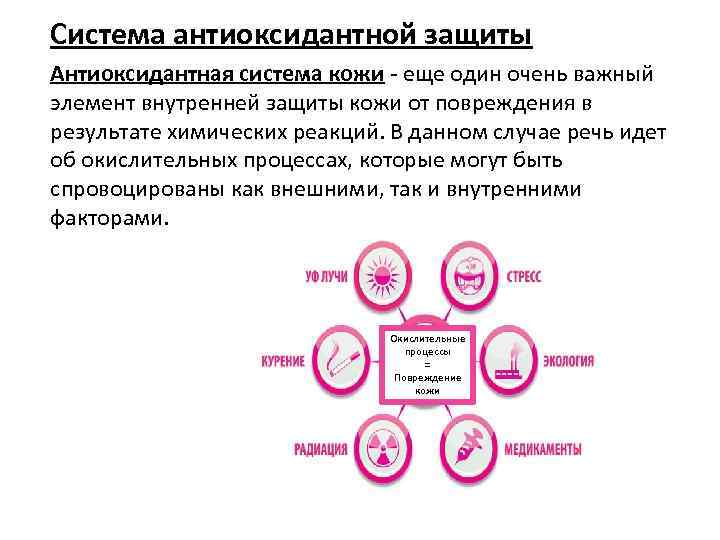 Система антиоксидантной защиты Антиоксидантная система кожи - еще один очень важный элемент внутренней защиты