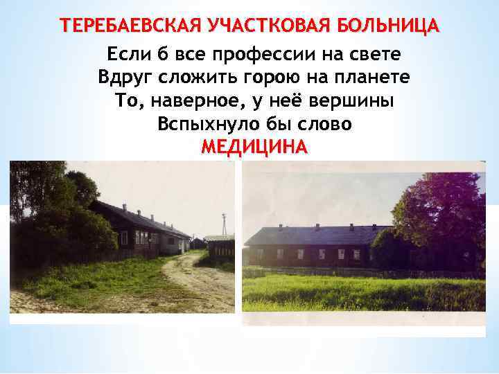 ТЕРЕБАЕВСКАЯ УЧАСТКОВАЯ БОЛЬНИЦА Если б все профессии на свете Вдруг сложить горою на планете