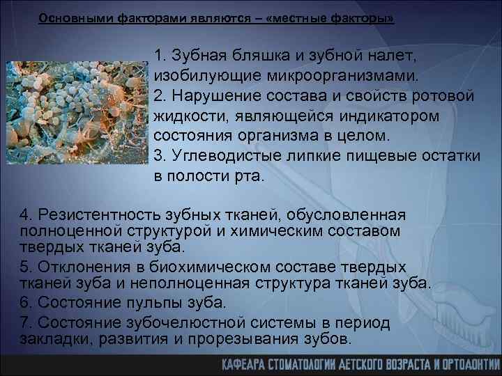 Основными факторами являются – «местные факторы» 1. Зубная бляшка и зубной налет, изобилующие микроорганизмами.