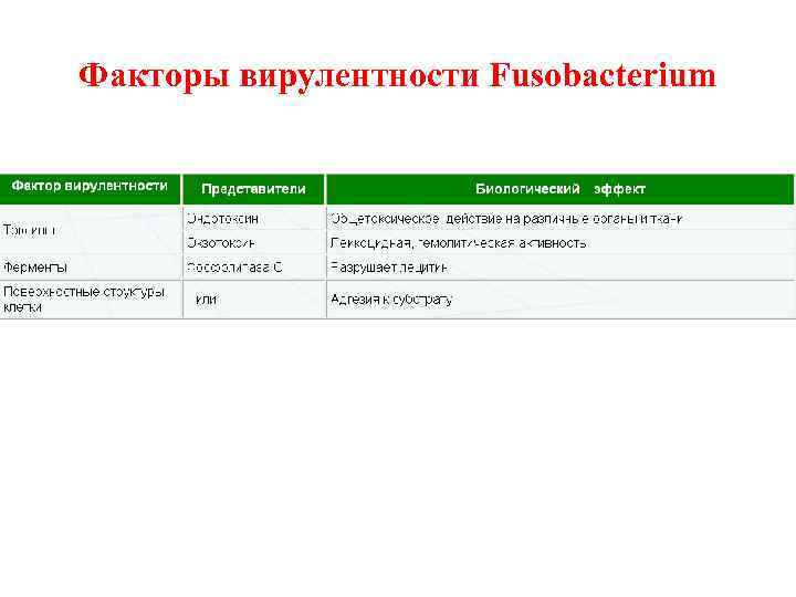 Факторы вирулентности Fusobacterium 