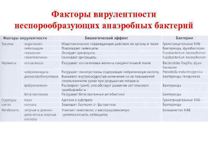 Факторы вирулентности неспорообразующих анаэробных бактерий 