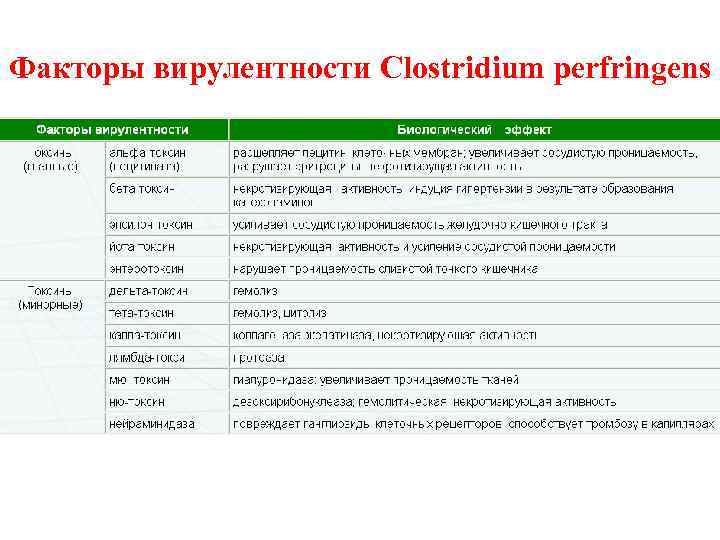 Факторы вирулентности Clostridium perfringens 