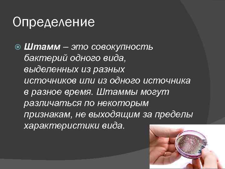 Определение Штамм – это совокупность бактерий одного вида, выделенных из разных источников или из