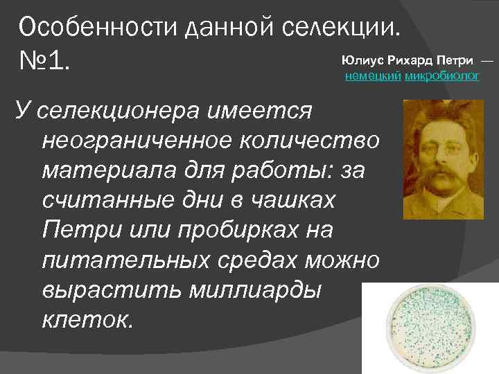 Особенности данной селекции. Юлиус Рихард Петри — № 1. немецкий микробиолог У селекционера имеется